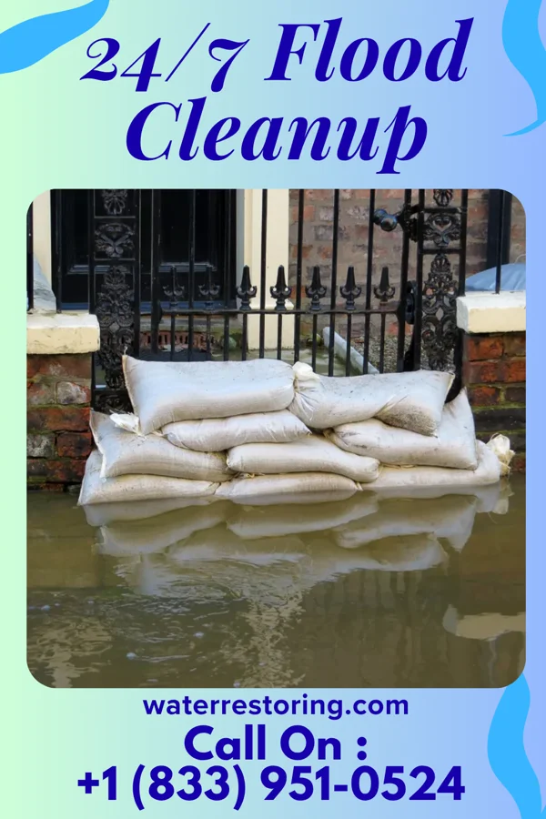 24/7 Flood Cleanup in Bushnell, IL