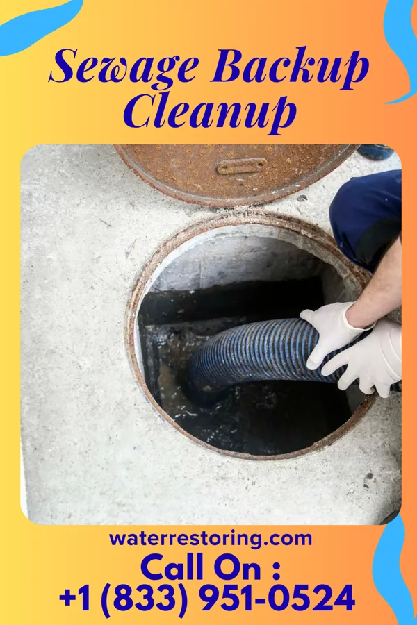 Sewage Backup Cleanup in Bushnell, IL