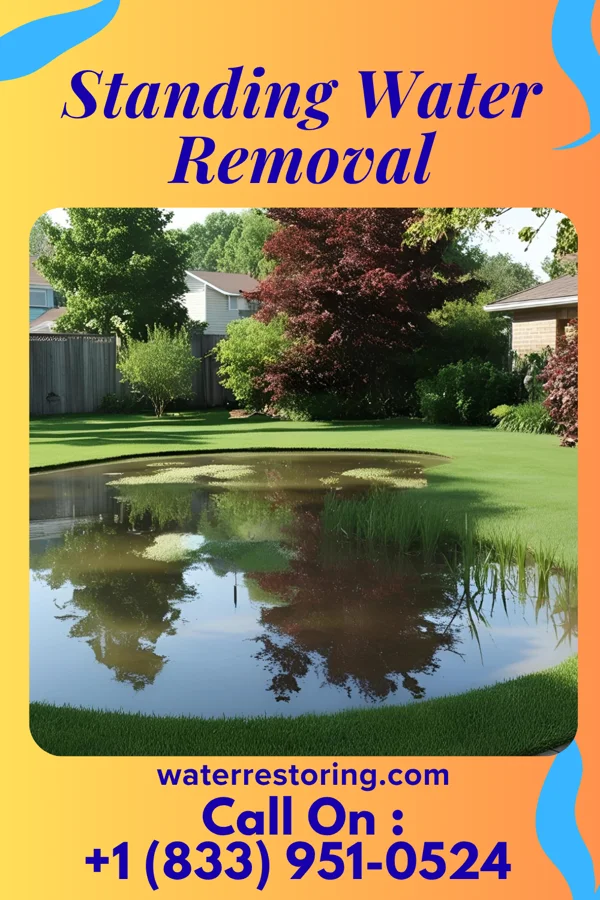 Standing Water Removal in Bushnell, IL